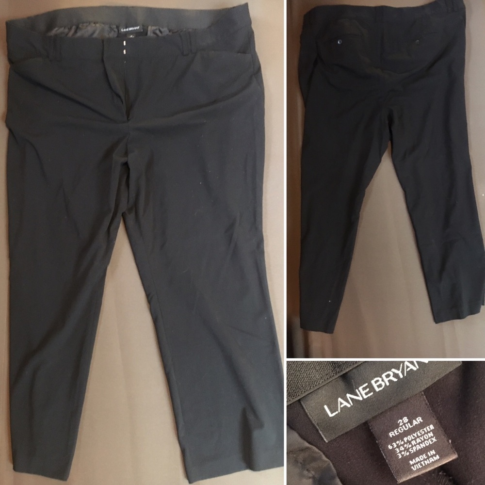 Lane Bryant Dress Pant